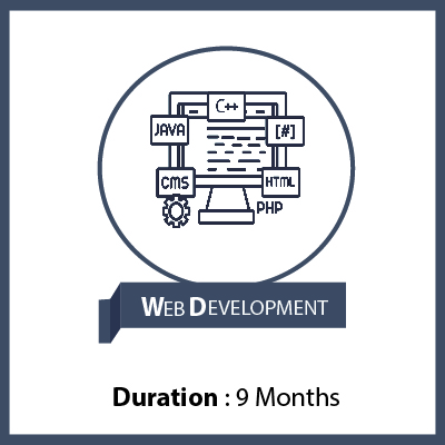 Web development